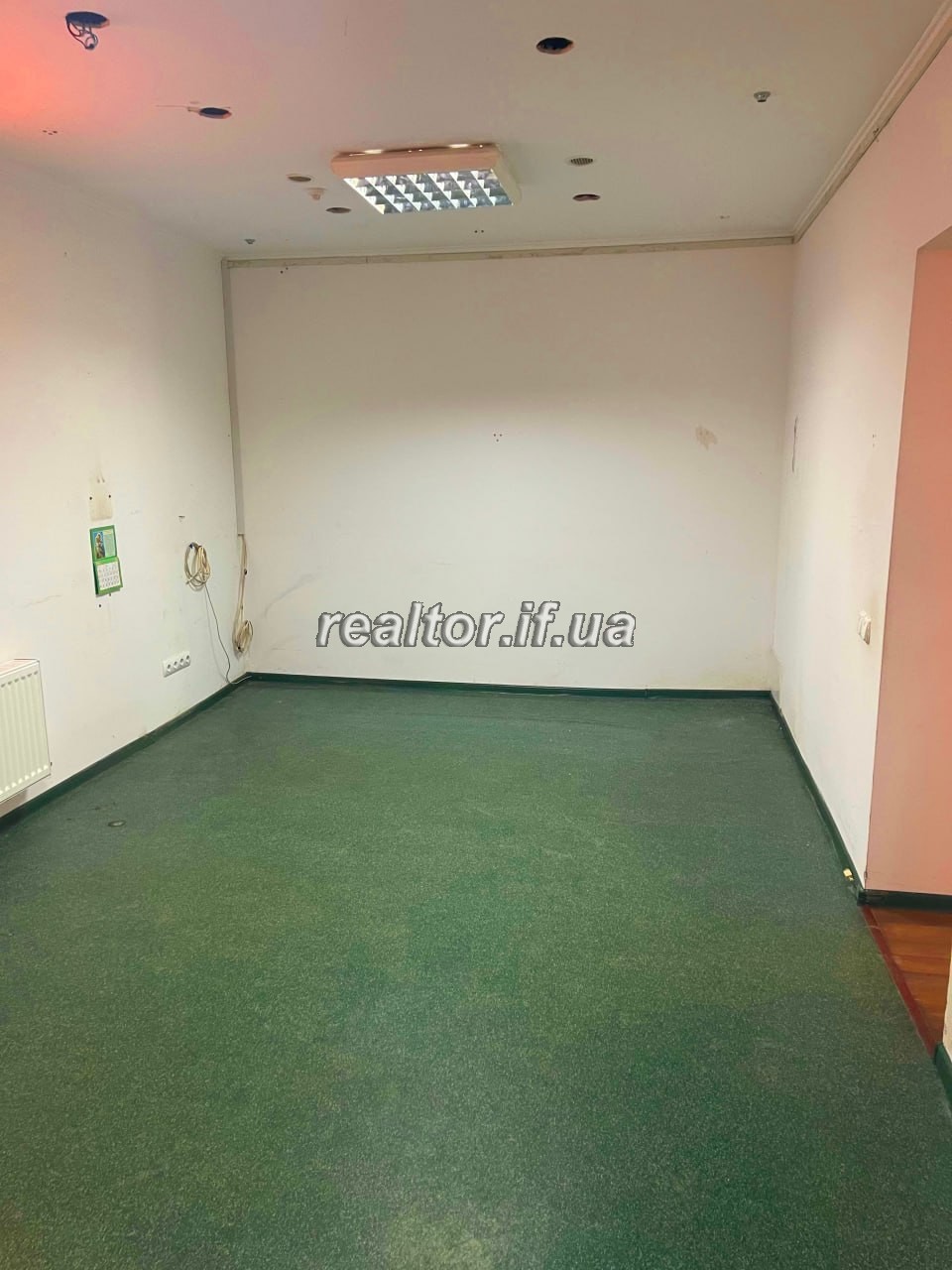 Комерційне приміщення 753 м² + земельна ділянка 17 соток, м. Тисмениця